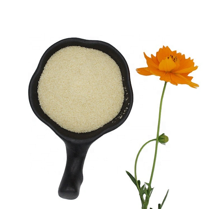 Low price halal food grade gelatine powder for jelly candy